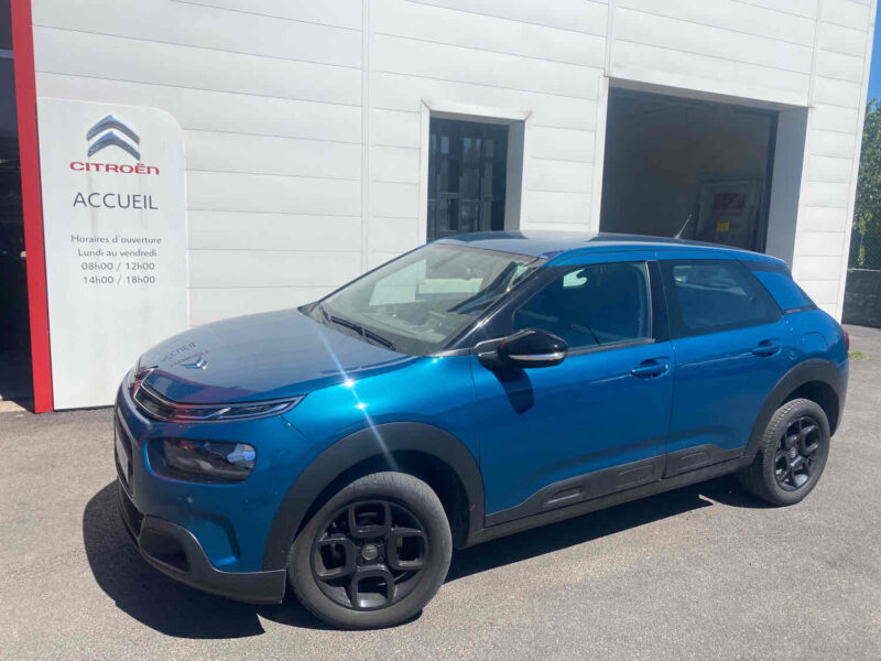 C4 CACTUS 