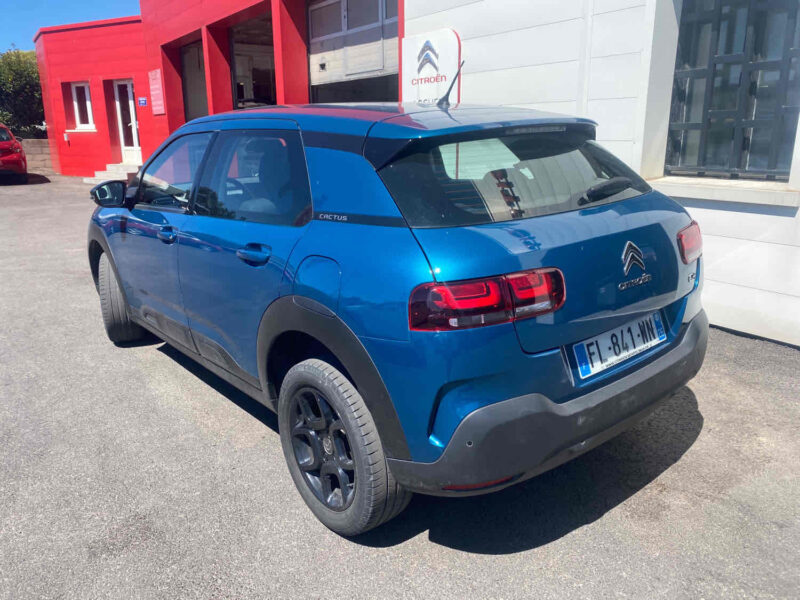 C4 CACTUS 