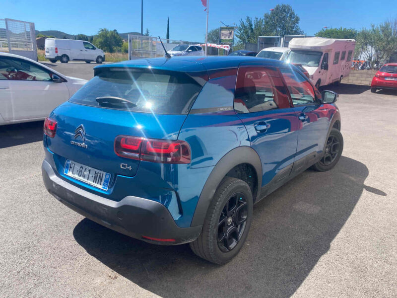 C4 CACTUS 