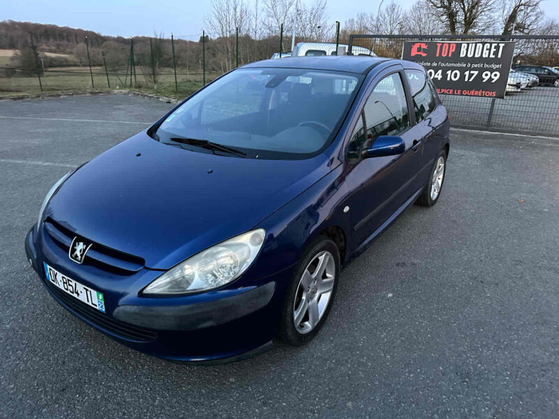 PEUGEOT 307 2004