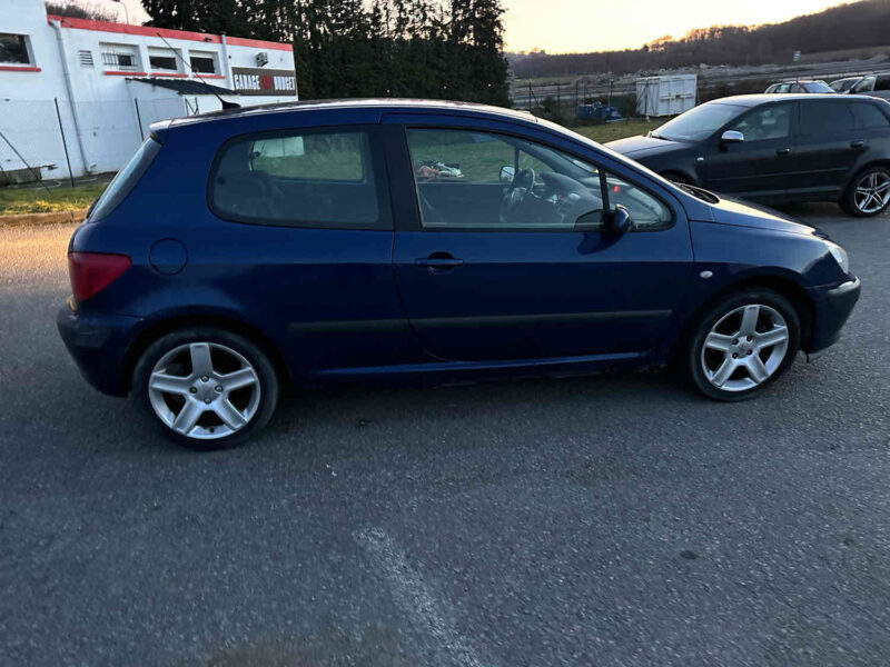 PEUGEOT 307 2004