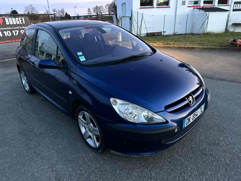 PEUGEOT 307 2004