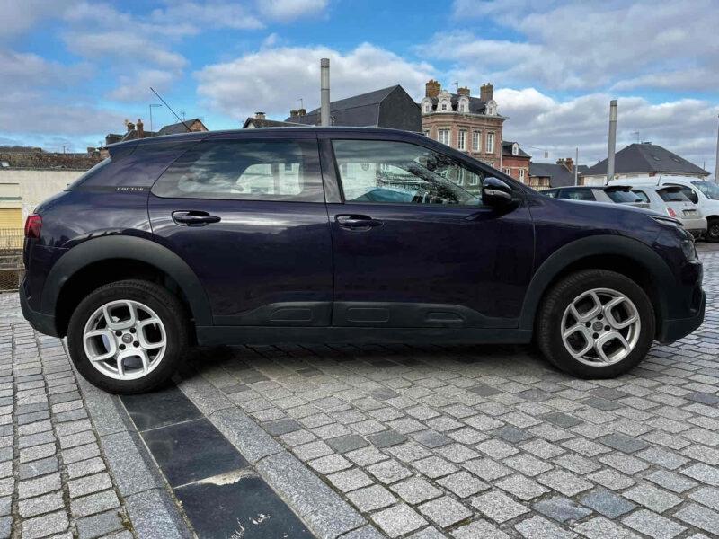 CITROEN C4 CACTUS 2019