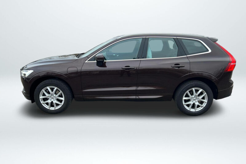 Volvo XC60 T8 Twin Engine 303 + 87ch Business Executive Geartronic