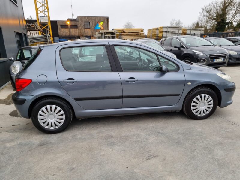 PEUGEOT 307 1.6 110 confort pack