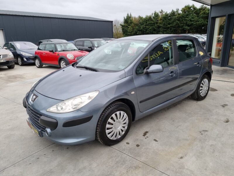 PEUGEOT 307 1.6 110 confort pack