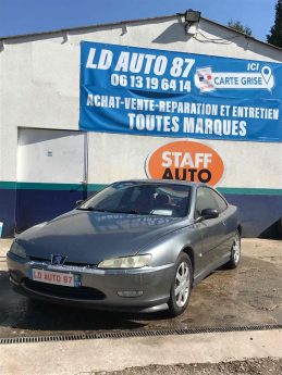 PEUGEOT 406 2001