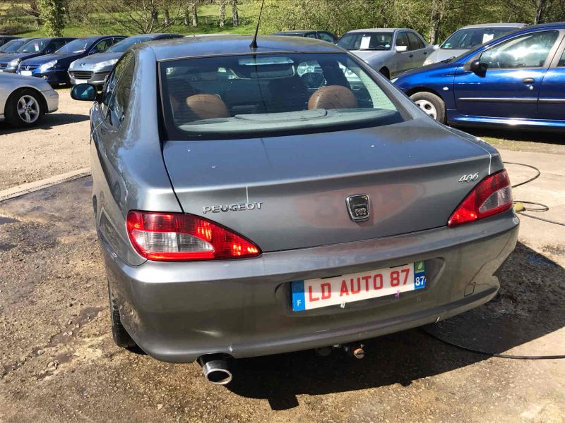 PEUGEOT 406 2001