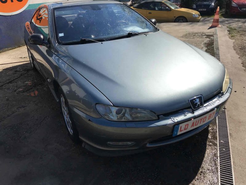 PEUGEOT 406 2001