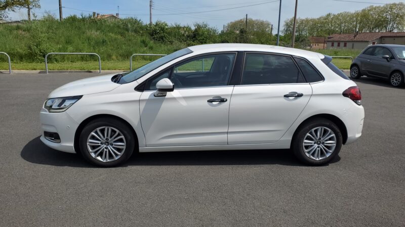 CITROEN C4 II 1.6 eHDi 115  SHINE BLANC NACRE