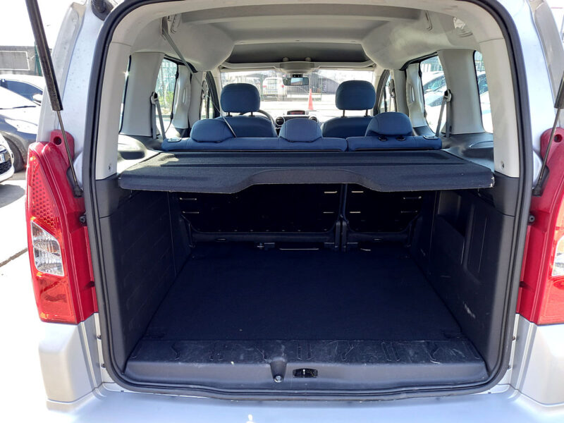 CITROEN BERLINGO MULTISPACE 2010