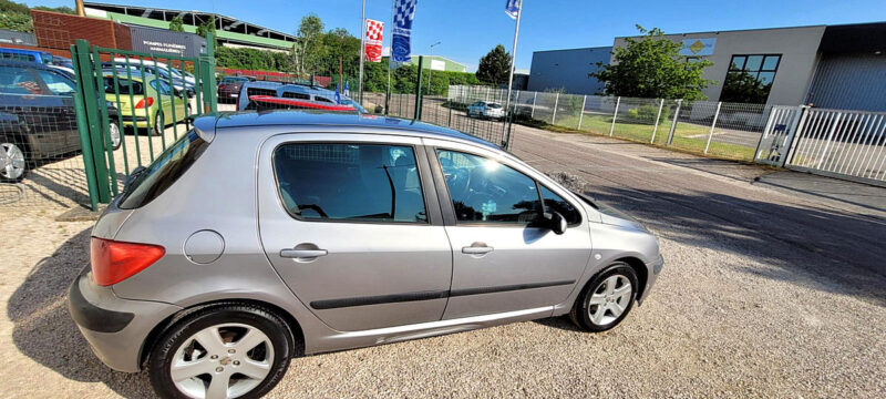 PEUGEOT 307 2001