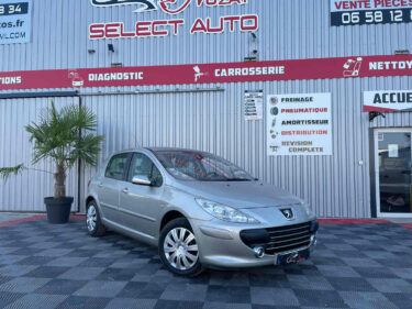 PEUGEOT 307 2006