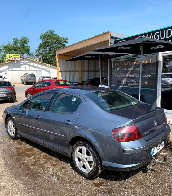 PEUGEOT 407 2007