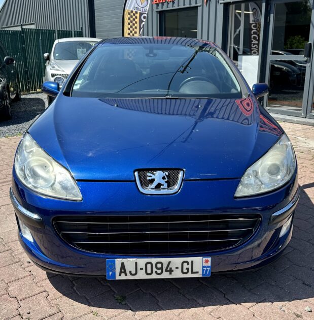 PEUGEOT 407 2007