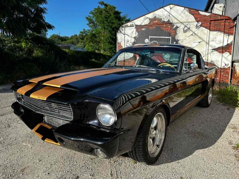 FORD MUSTANG FASTBACK CLONE 350 HERTZ REPRISE POSSIBLE