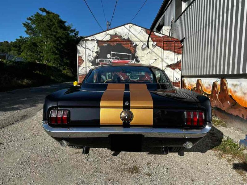 FORD MUSTANG FASTBACK CLONE 350 HERTZ REPRISE POSSIBLE