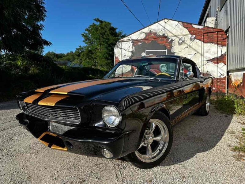 FORD MUSTANG FASTBACK CLONE 350 HERTZ REPRISE POSSIBLE