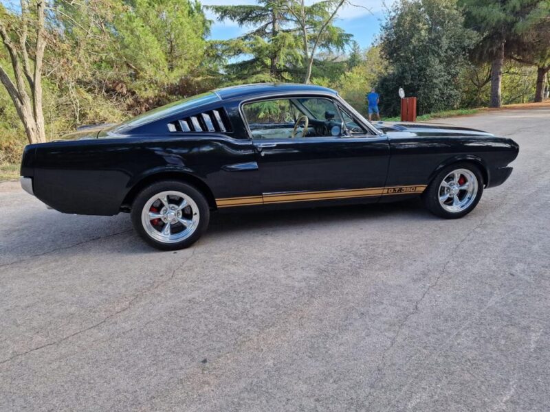 FORD MUSTANG FASTBACK CLONE 350 HERTZ REPRISE POSSIBLE