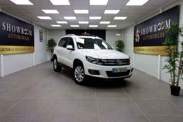 VOLKSWAGEN TIGUAN 2012