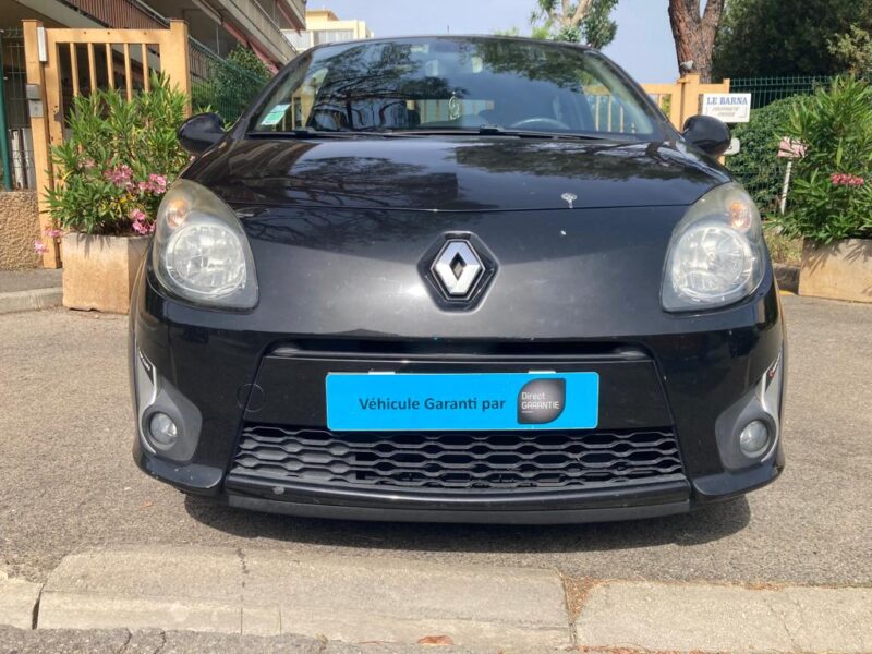 RENAULT TWINGO 2019 RIP CURL