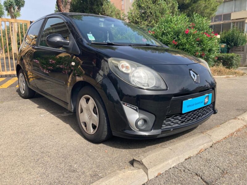 RENAULT TWINGO 2019 RIP CURL