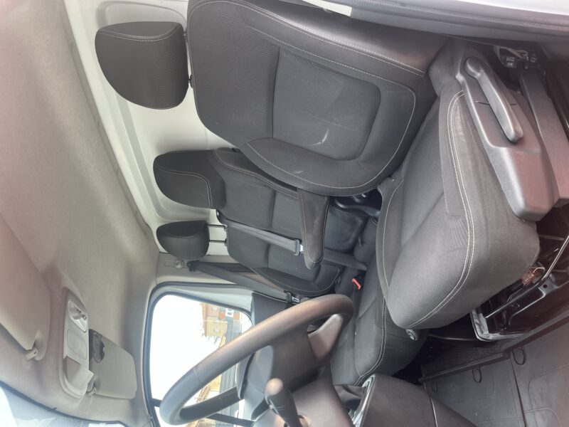 RENAULT TRAFIC III Camionnette 2019