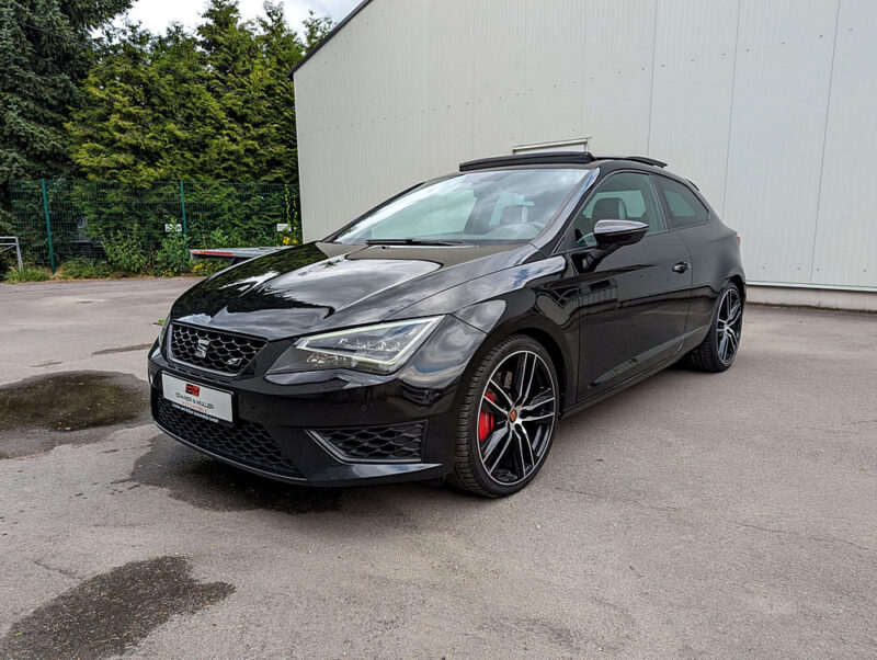 Seat  Cupra sc 290 