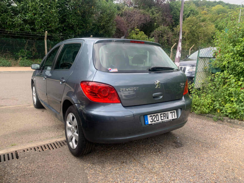 PEUGEOT 307 1.6HDI 90CV