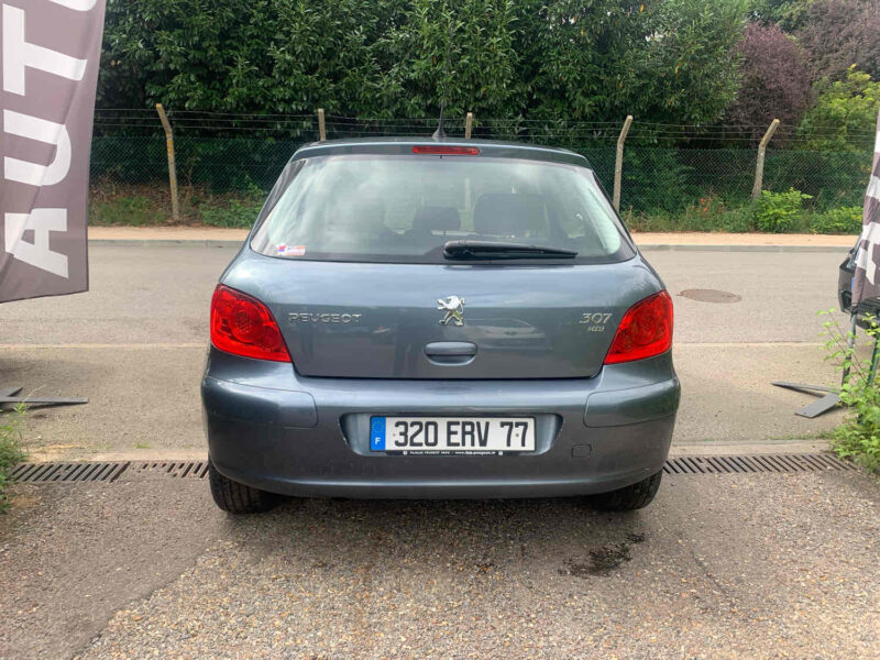 PEUGEOT 307 1.6HDI 90CV