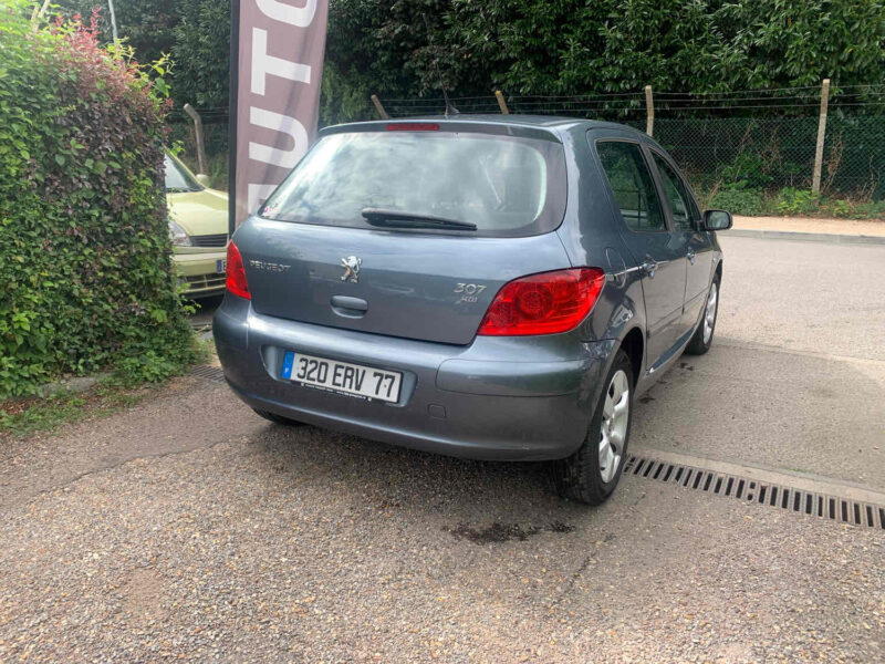 PEUGEOT 307 1.6HDI 90CV