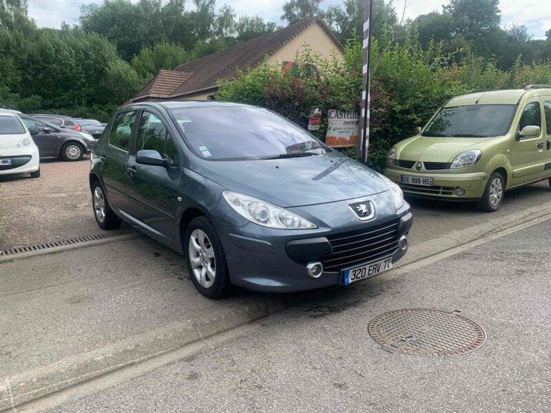 PEUGEOT 307 1.6HDI 90CV