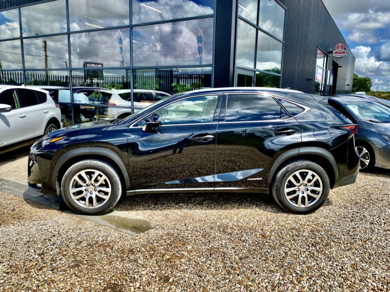 LEXUS NX300H LUXE 2017