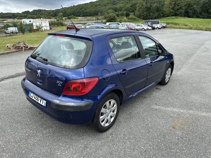 PEUGEOT 307 2004