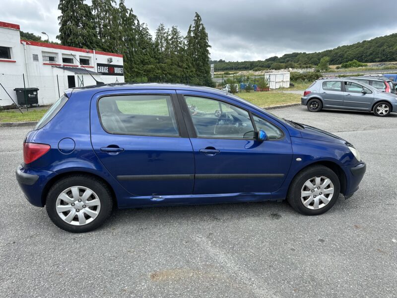 PEUGEOT 307 2004