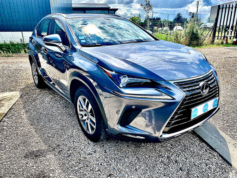 LEXUS NX300H PACK BUSINESS 2019