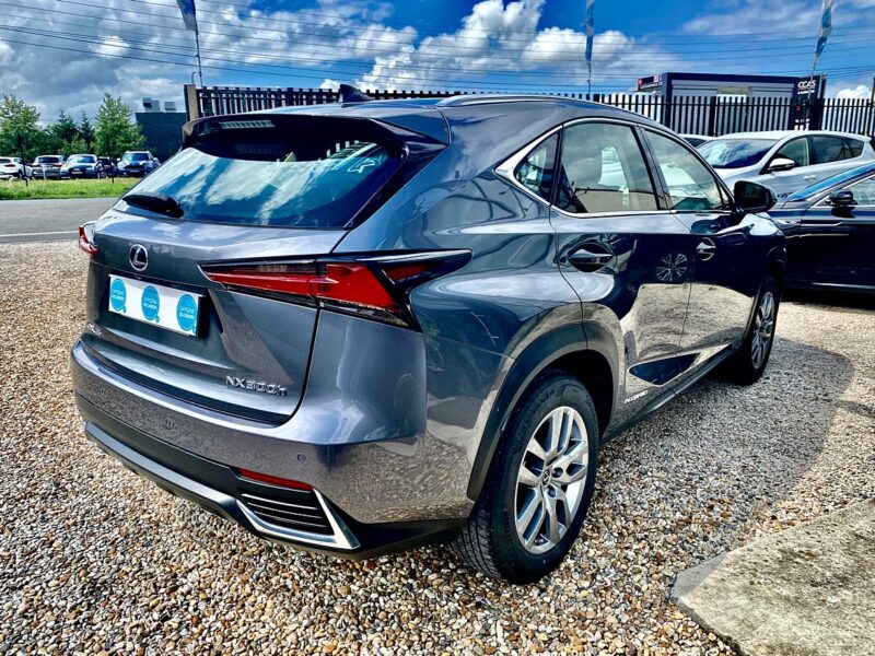 LEXUS NX300H PACK BUSINESS 2019