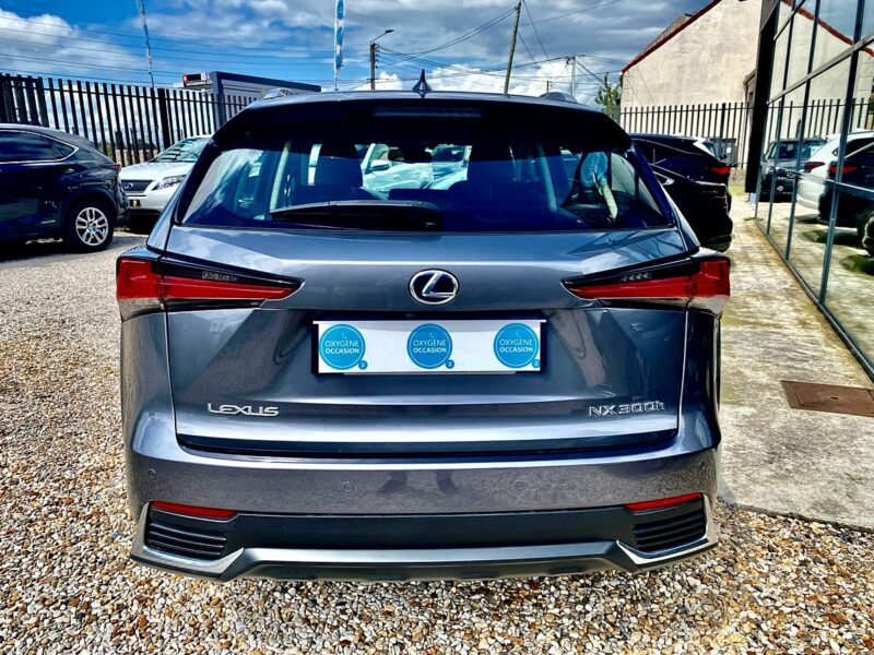 LEXUS NX300H PACK BUSINESS 2019