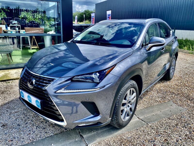 LEXUS NX300H PACK BUSINESS 2019