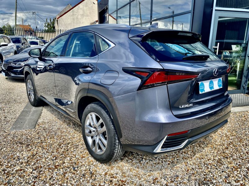 LEXUS NX300H PACK BUSINESS 2019