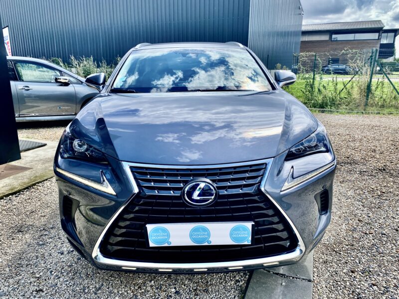 LEXUS NX300H PACK BUSINESS 2019