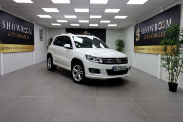 VOLKSWAGEN TIGUAN 2013