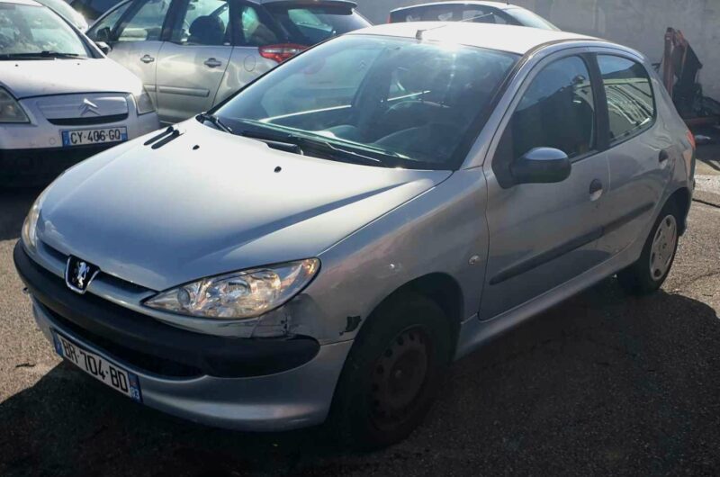 PEUGEOT 206 3/5 portes 2007