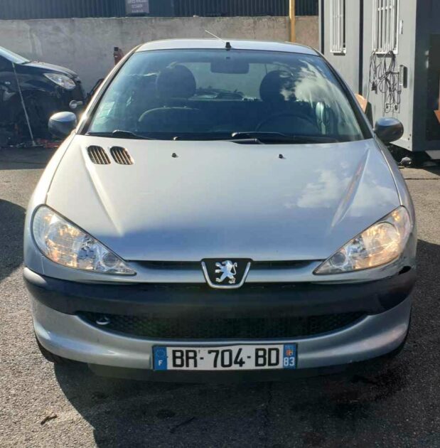 PEUGEOT 206 3/5 portes 2007