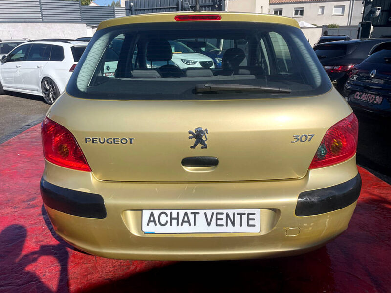 PEUGEOT 307 2002