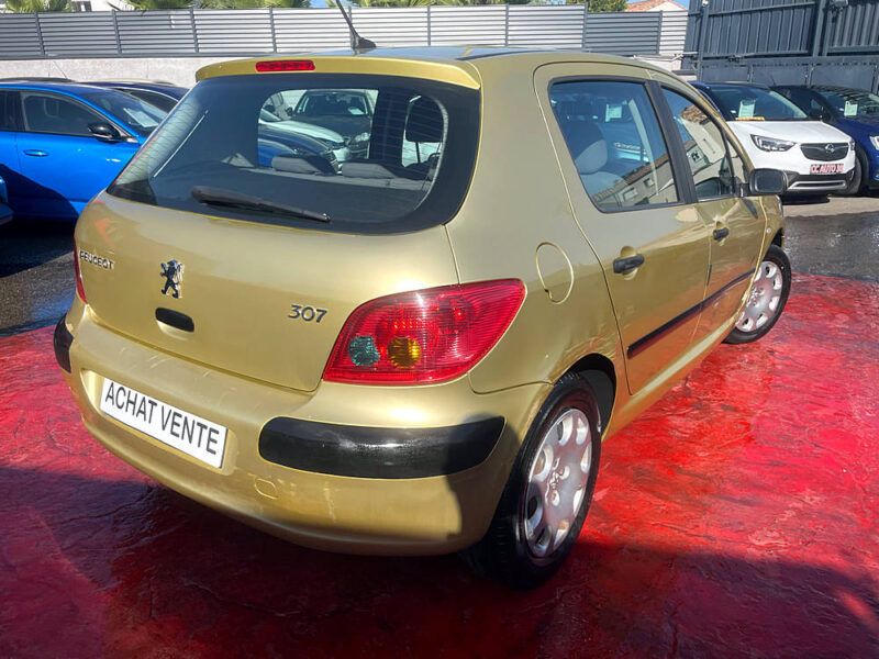 PEUGEOT 307 2002