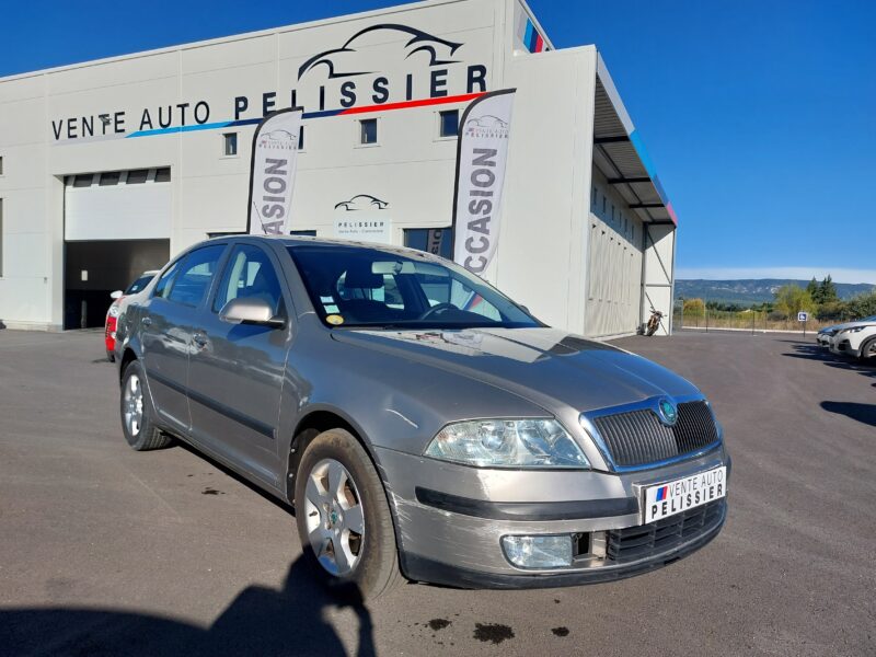 SKODA OCTAVIA - 1.9 TDI 105CV