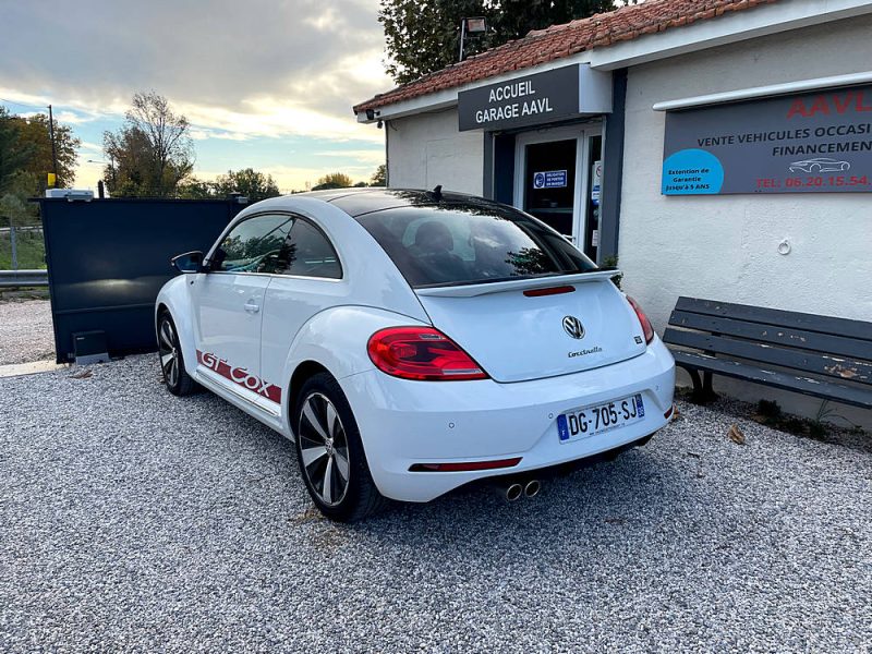 VOLKSWAGEN COCCINELLE  2014