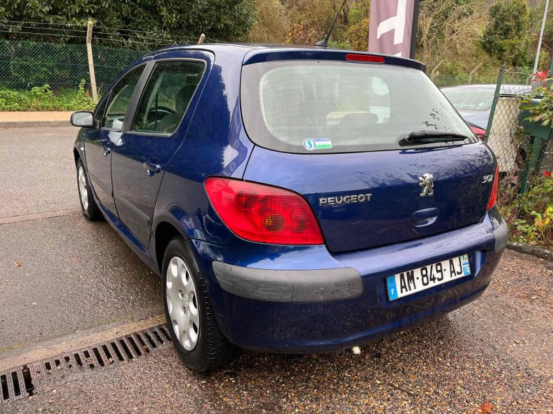 PEUGEOT 307 1.6i 16V 109CV