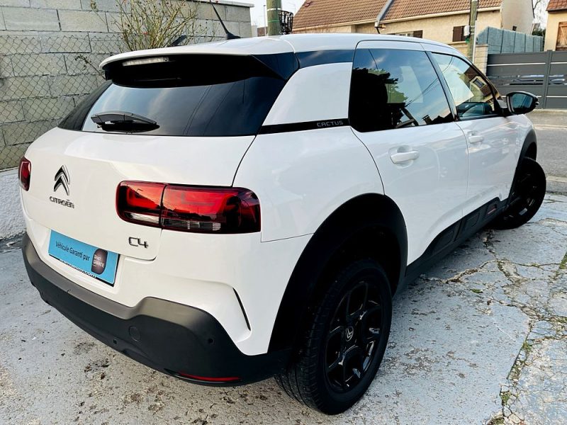 CITROEN C4 CACTUS 2019